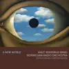 Knut Reiersrud Band, Norwegian Radio Orchestra & Knut Reiersrud - A New World