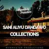 Sani Aliyu Dandawo - Sani Aliyu Dandawo Collections